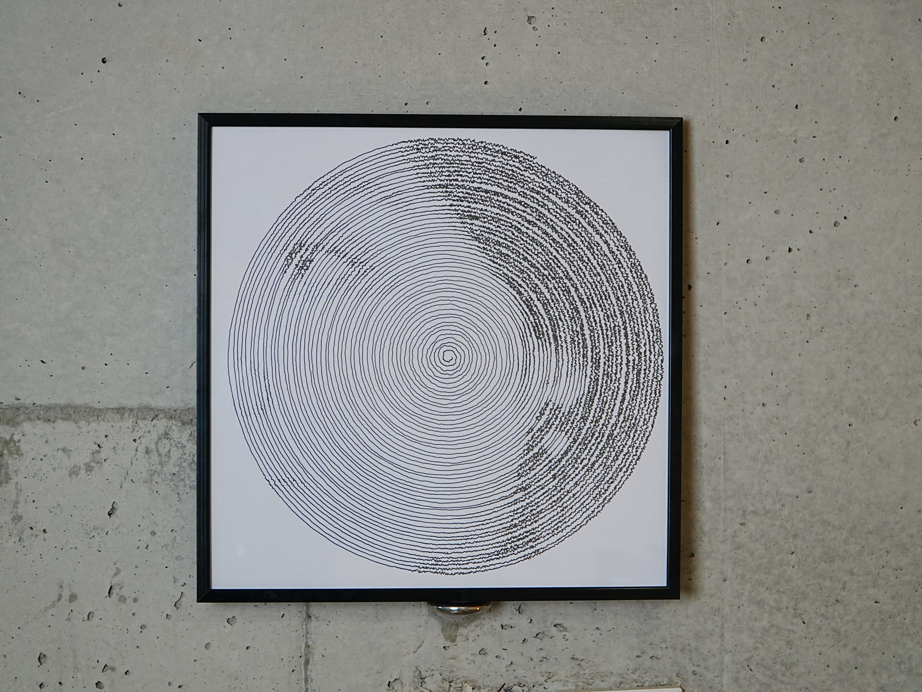 Custom Pen-Plotted Spiral Portrait - Personalized Machine-Drawn Line Art